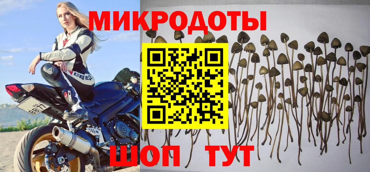 Галлюциногенные грибы ЛСД Ирбит